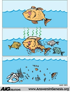 FOSSILIZATION PROCESS